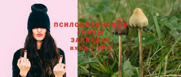 дурь Александровское