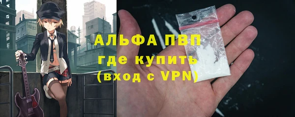 дурь Няндома