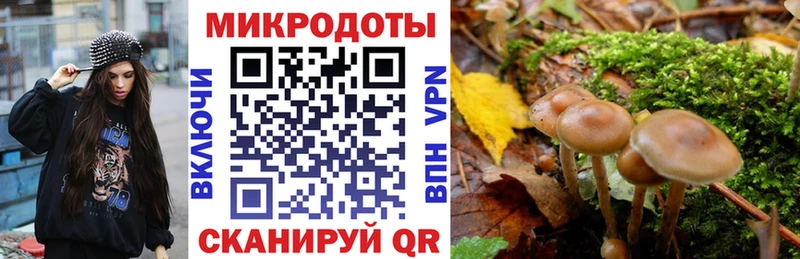 Галлюциногенные грибы прущие грибы  Купить где  Лыткарино 